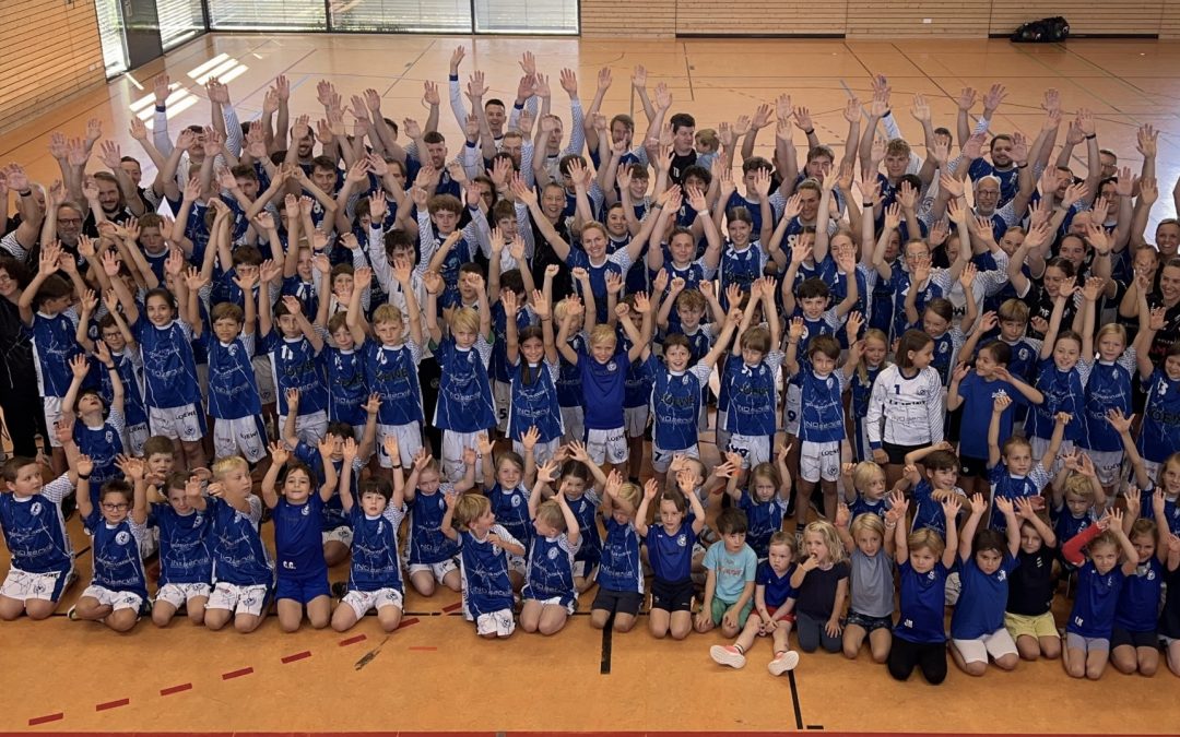 Die Handballer des  TSV HD-Wieblingen suchen einen FSJler/in